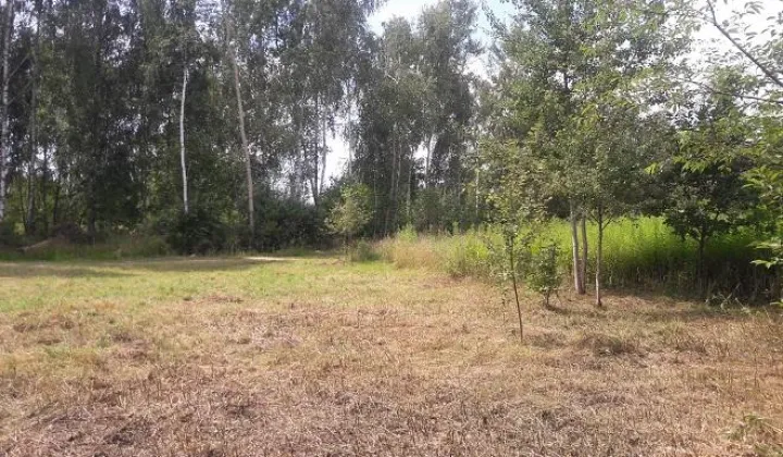 Działka budowlana Józefin, ul. Werbeny