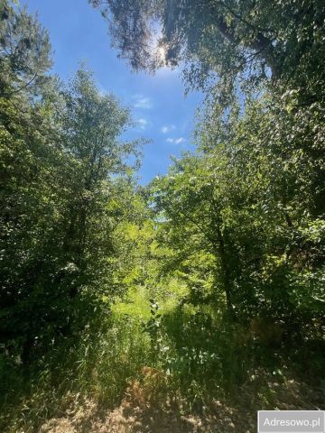 Działka rolna Boroszków. Zdjęcie 1