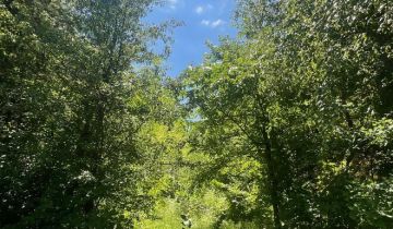 Działka rolna Boroszków