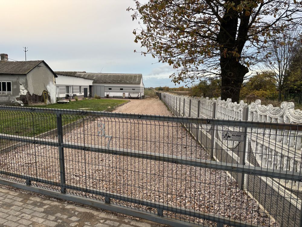 Hala/magazyn Żelechlin. Zdjęcie 5