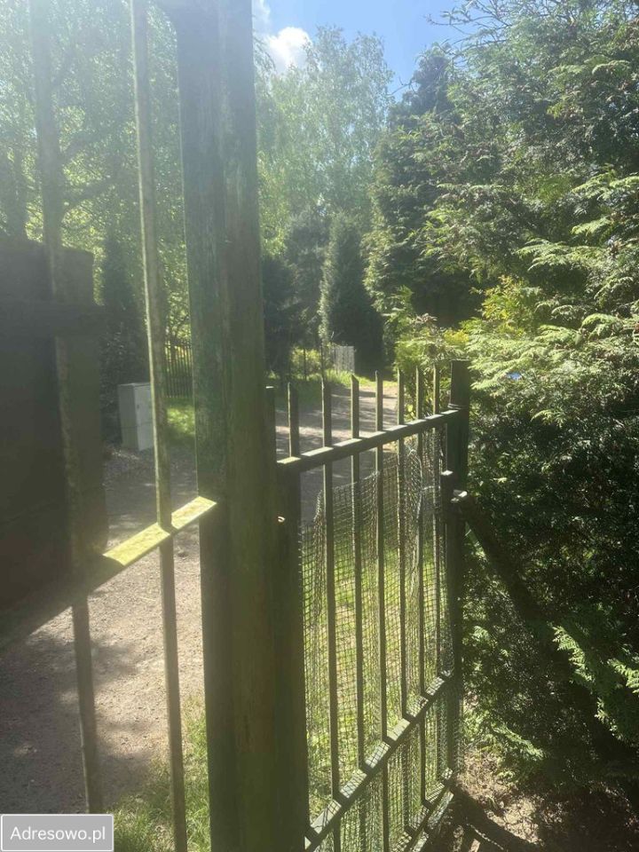 Działka budowlana Sierżnia. Zdjęcie 2