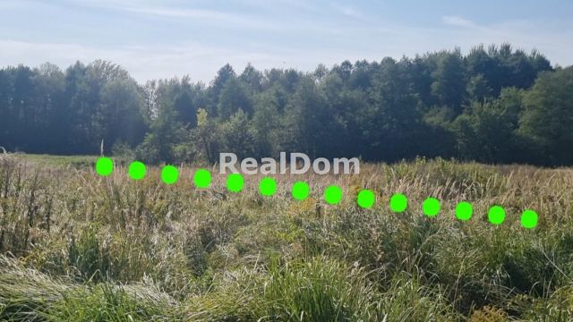 dom wolnostojący, 4 pokoje Modlniczka. Zdjęcie 4