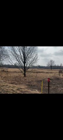 Działka rolno-budowlana Myszków Osińska Góra, ul. Grzybowa. Zdjęcie 1