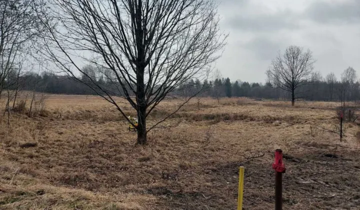 Działka rolno-budowlana Myszków Osińska Góra, ul. Grzybowa