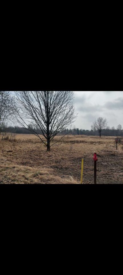 Działka rolno-budowlana Myszków Osińska Góra, ul. Grzybowa. Zdjęcie 1
