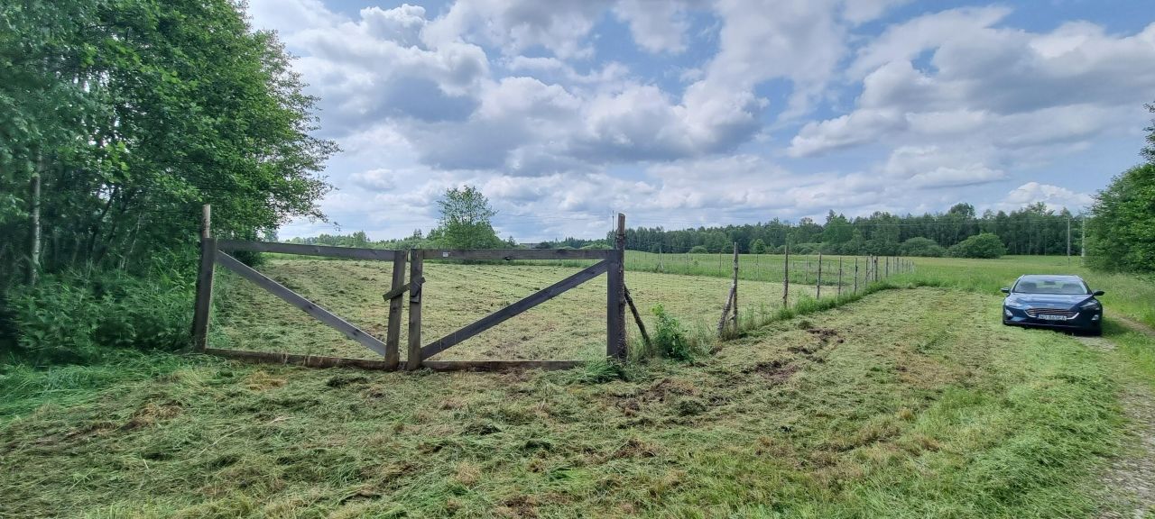 Działka rolno-budowlana Woryty, al. Topolowa. Zdjęcie 4