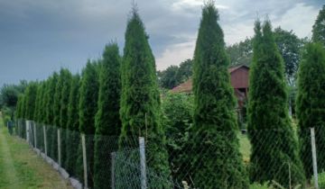 Działka rod Lubraniec-Parcele