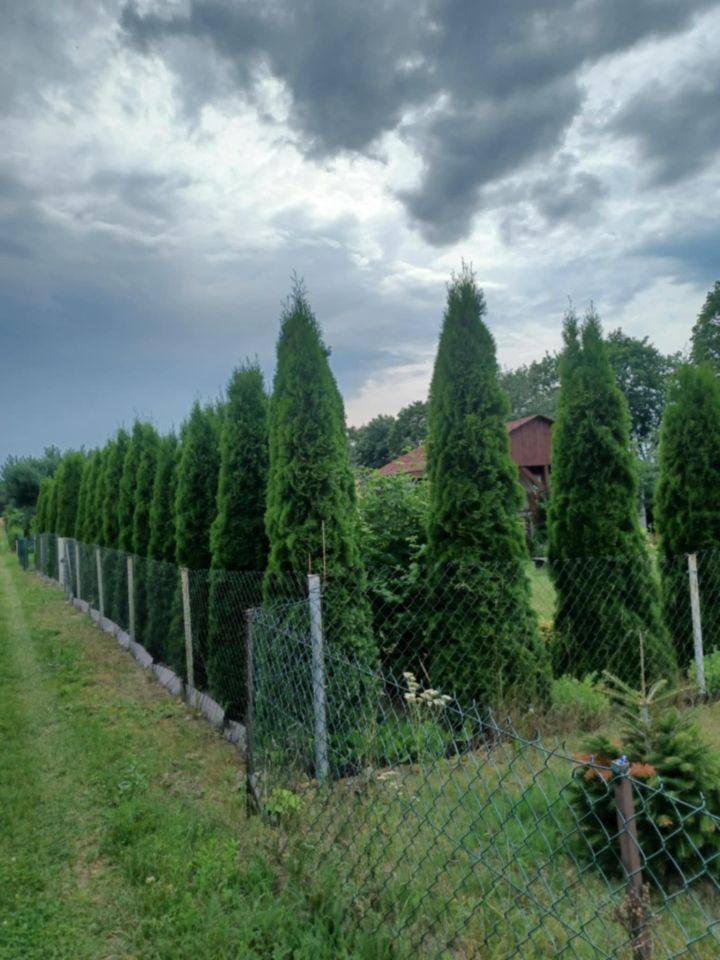 Działka rod Lubraniec-Parcele. Zdjęcie 2