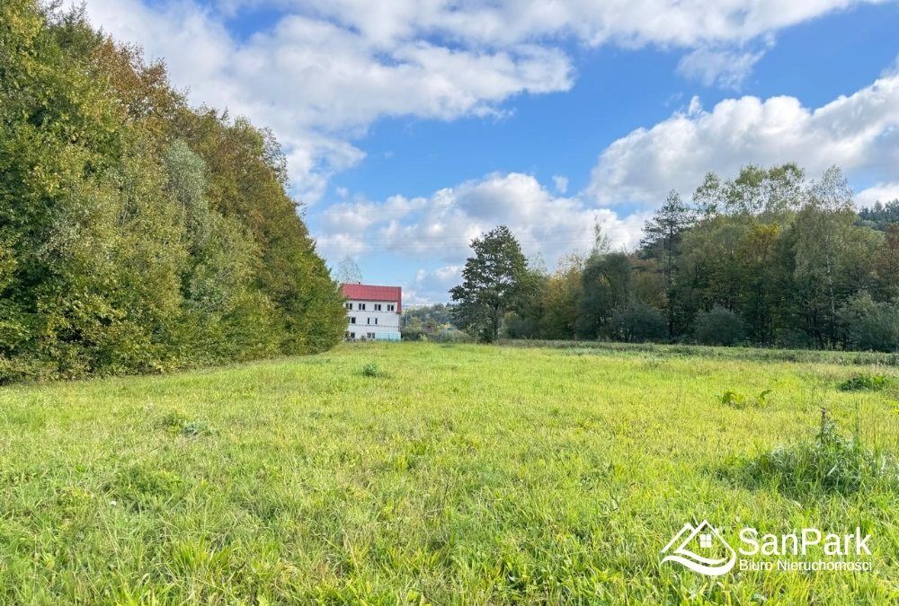 Działka rolna Wołkowyja. Zdjęcie 6