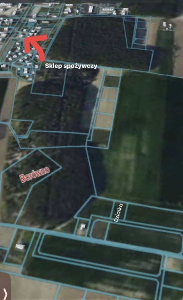 Działka rolno-budowlana Borówno. Zdjęcie 4