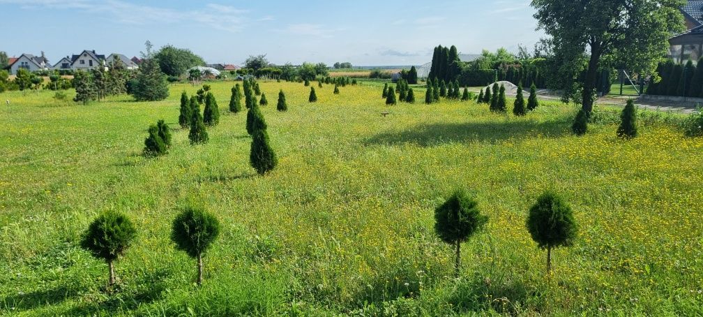 Działka budowlana Pisarzowice, ul. Świerkowa. Zdjęcie 3