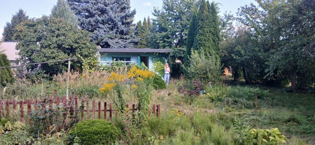 Działka rod Poznań Krzesiny. Zdjęcie 3