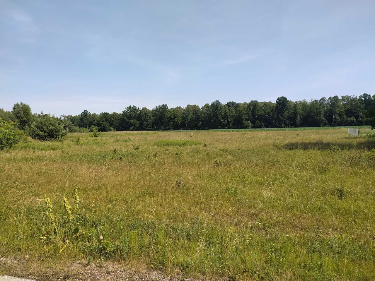 Działka budowlana Benenard, ul. Bukowa. Zdjęcie 8