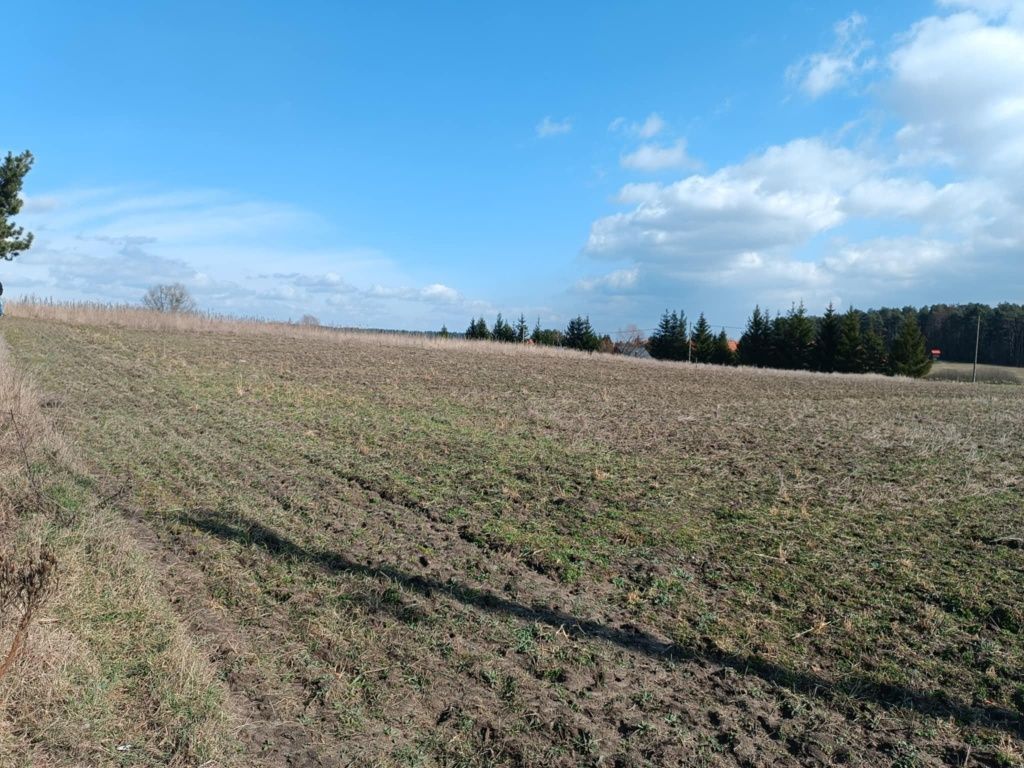 Działka rolno-budowlana Przerwanki. Zdjęcie 6