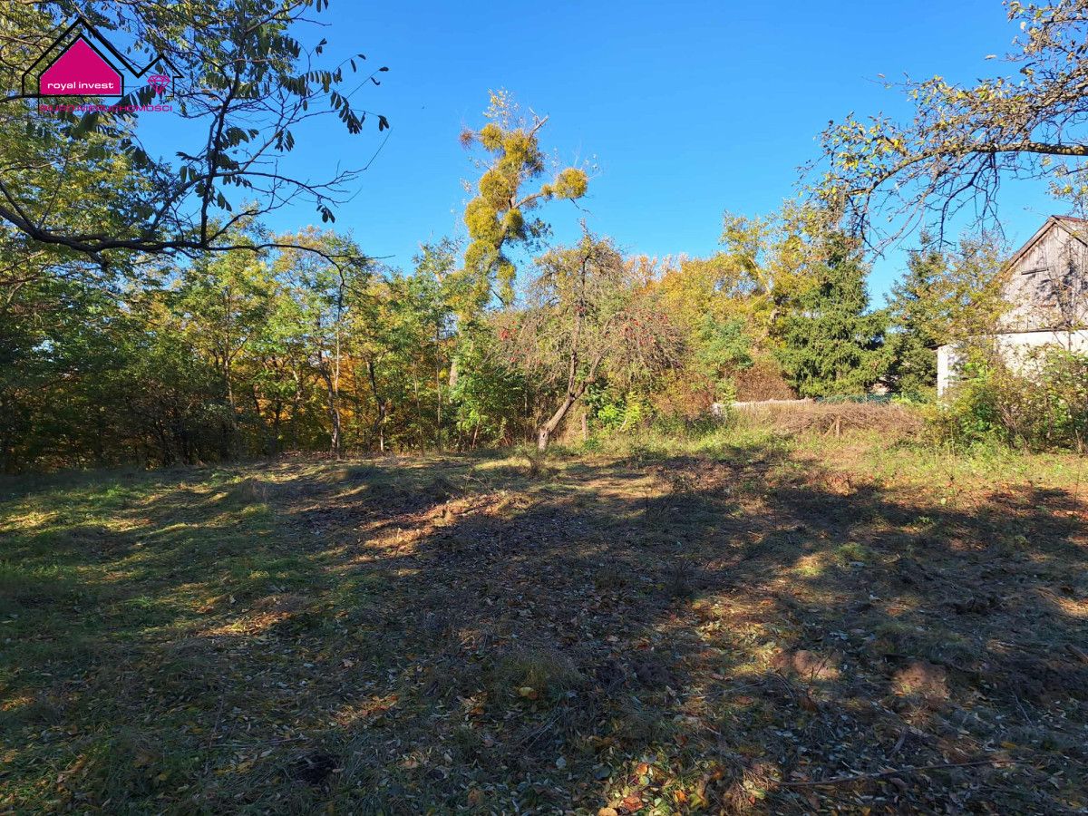 Działka budowlana Żółwieniec. Zdjęcie 6