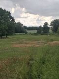 Działka rekreacyjna Ziewanice. Zdjęcie 3
