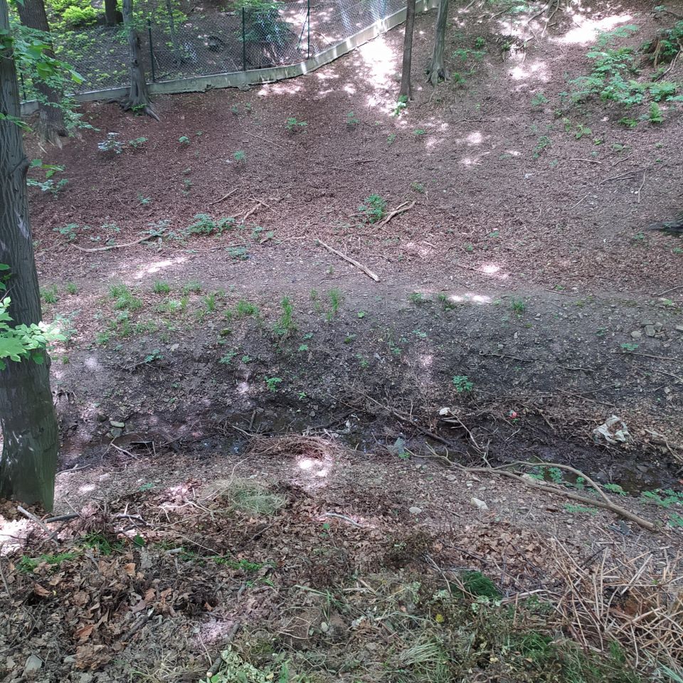 Działka leśna Bielsko-Biała Mikuszowice Krakowskie, ul. Krowoderska. Zdjęcie 7