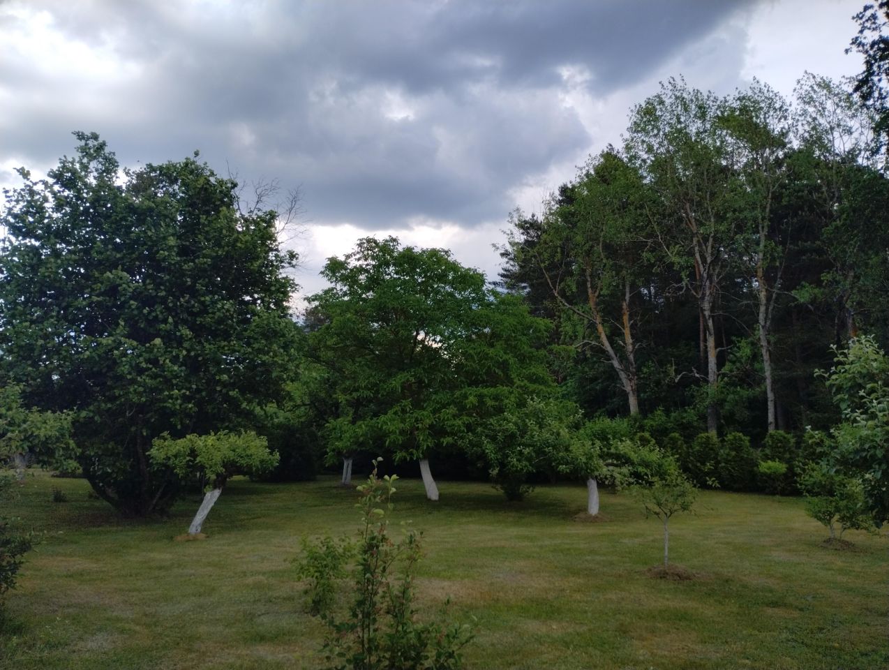 dom wolnostojący, 6 pokoi Młynowo. Zdjęcie 17