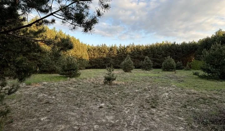 Działka rolno-budowlana Wólka Kobyla