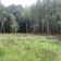 Działka rolno-budowlana Kozłowiec. Zdjęcie 4