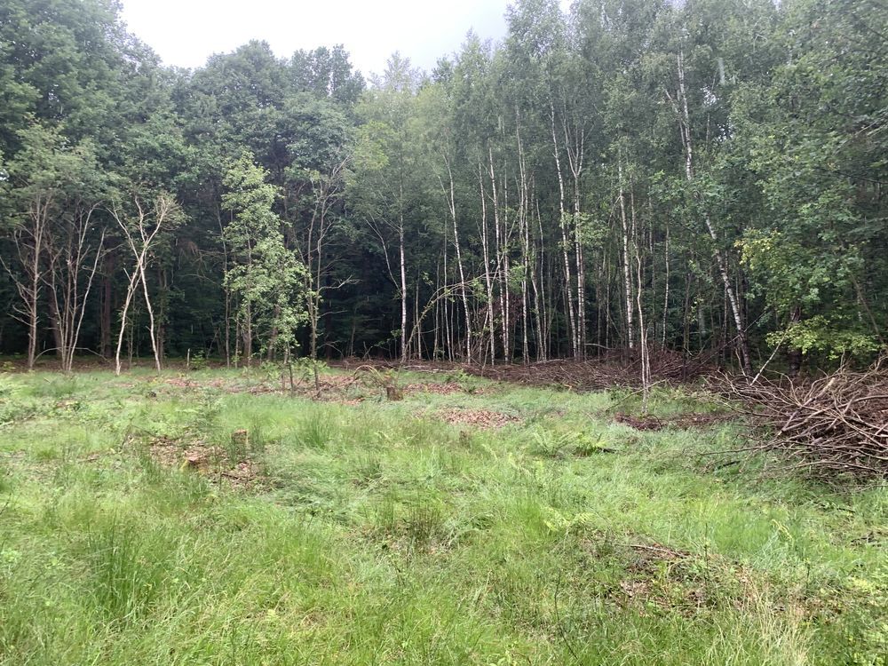 Działka rolno-budowlana Kozłowiec. Zdjęcie 4