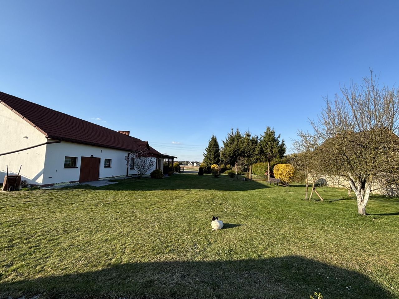 dom wolnostojący, 3 pokoje Podchojny. Zdjęcie 5