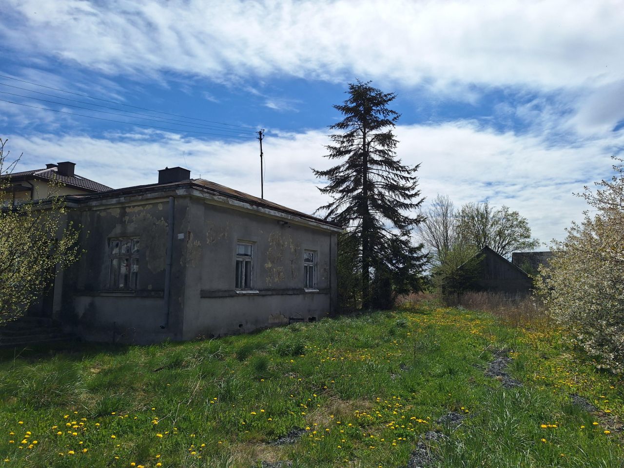 Działka siedliskowa Wyrozęby-Konaty. Zdjęcie 4