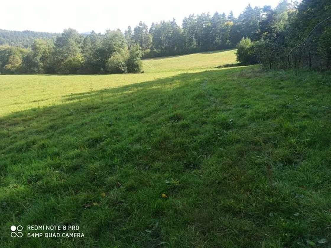 Działka rolna Berezka. Zdjęcie 4