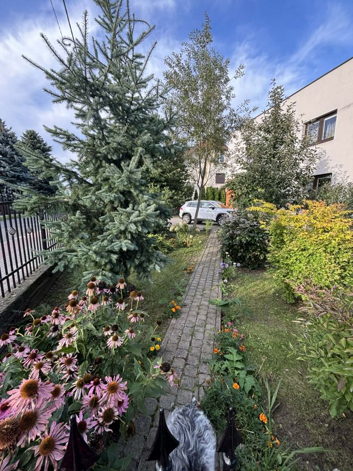 dom wolnostojący, 5 pokoi Rypin, ul. 3 Maja. Zdjęcie 32