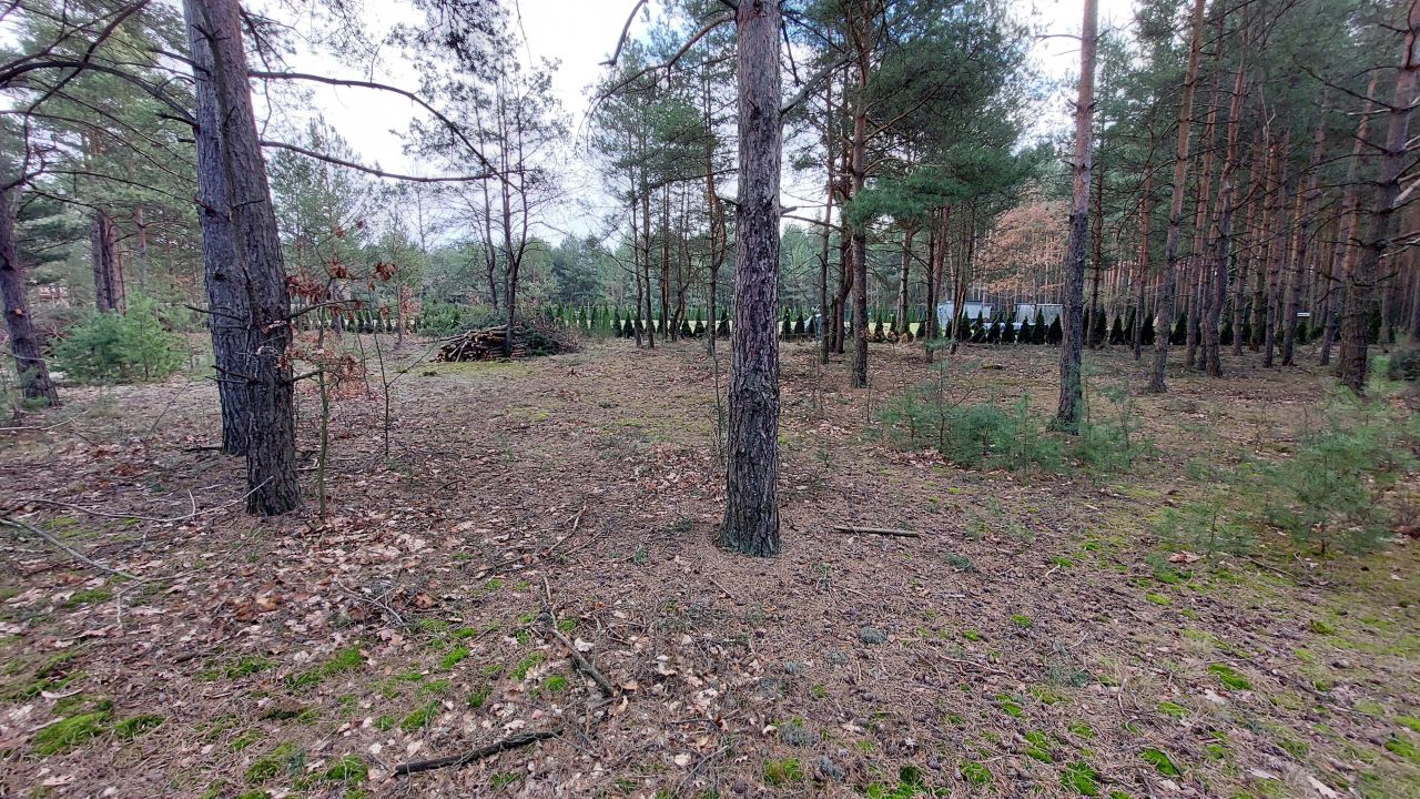 Działka budowlana Góra Kalwaria, ul. Leśna. Zdjęcie 3