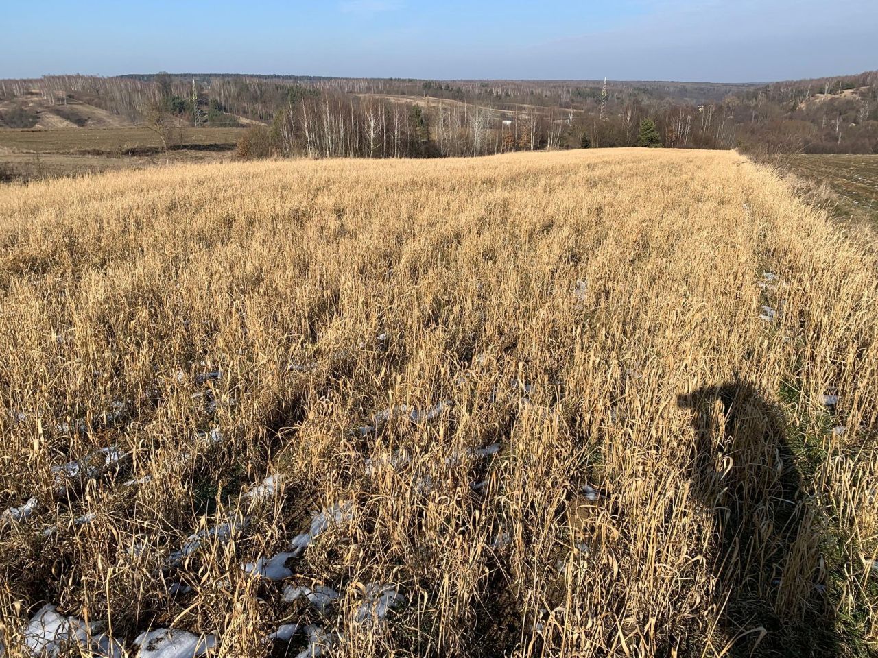 gospodarstwo, 3 pokoje Doły Biskupie Doły Opacie. Zdjęcie 9