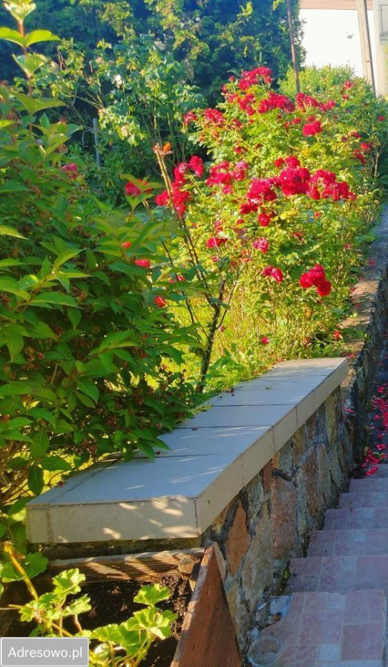 dom wolnostojący, 4 pokoje Gdynia Mały Kack. Zdjęcie 2