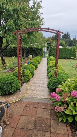 Działka rod Myślęcinek, ul. Szosa Gdańska. Zdjęcie 1