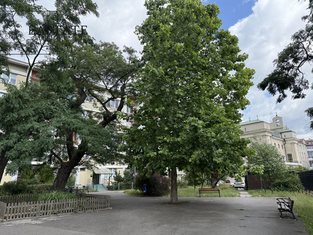 Mieszkanie 3-pokojowe Warszawa Żoliborz, ul. Zygmunta Krasińskiego. Zdjęcie 8