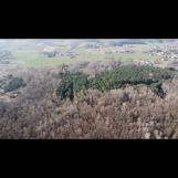 Działka leśna Gąsocin. Zdjęcie 1