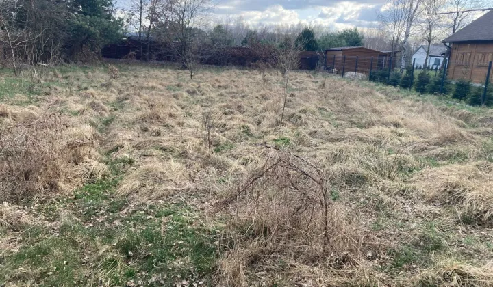 Działka budowlana Dąb Polski, ul. Liliowa