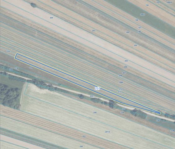 Działka rolna Miętne, ul. Osiecka. Zdjęcie 1