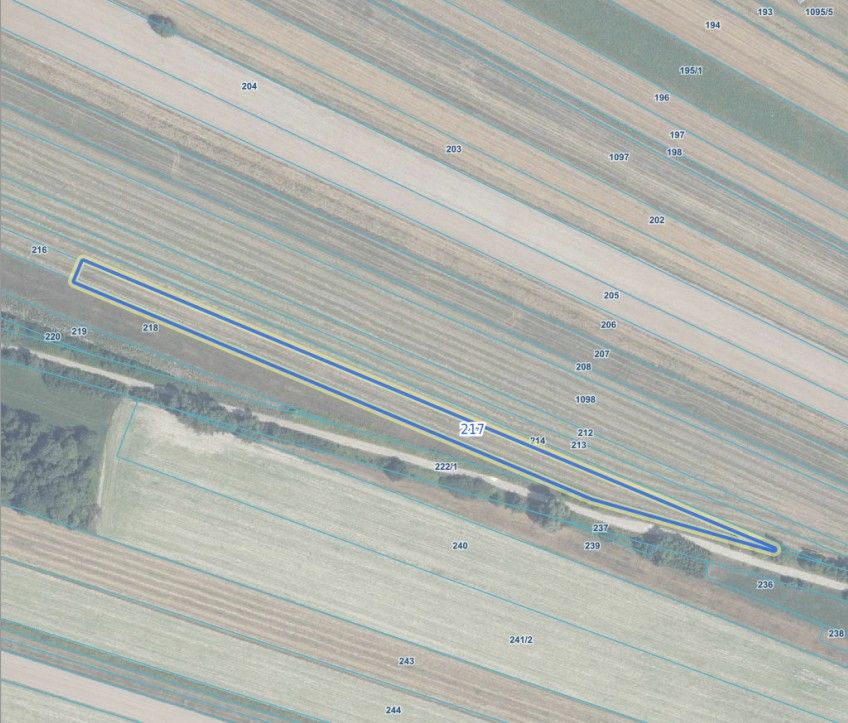 Działka rolna Miętne, ul. Osiecka. Zdjęcie 1