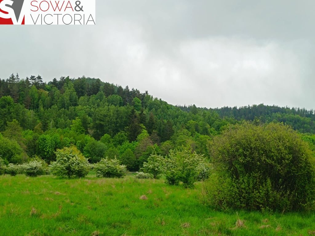 Działka budowlana Jedlina-Zdrój Kamieńsk. Zdjęcie 3