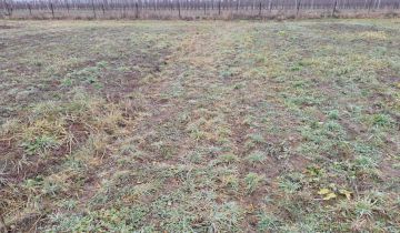 Działka budowlana Jasieniec