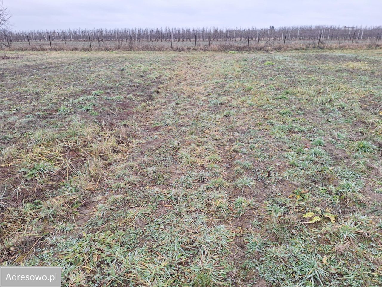 Działka budowlana Jasieniec