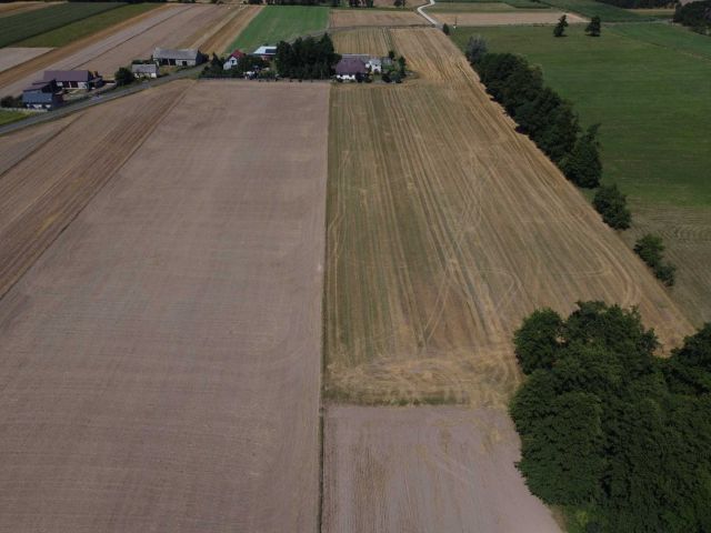 Działka rolna Kiełczew Smużny Pierwszy. Zdjęcie 1