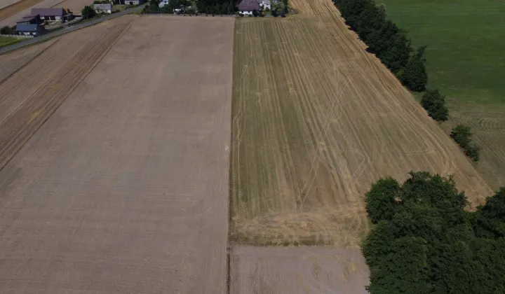 Działka rolna Kiełczew Smużny Pierwszy