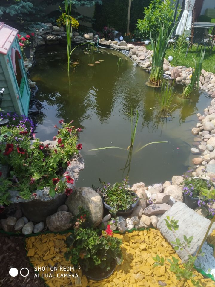 dom wolnostojący, 2 pokoje Uchańka, Uchanka. Zdjęcie 4