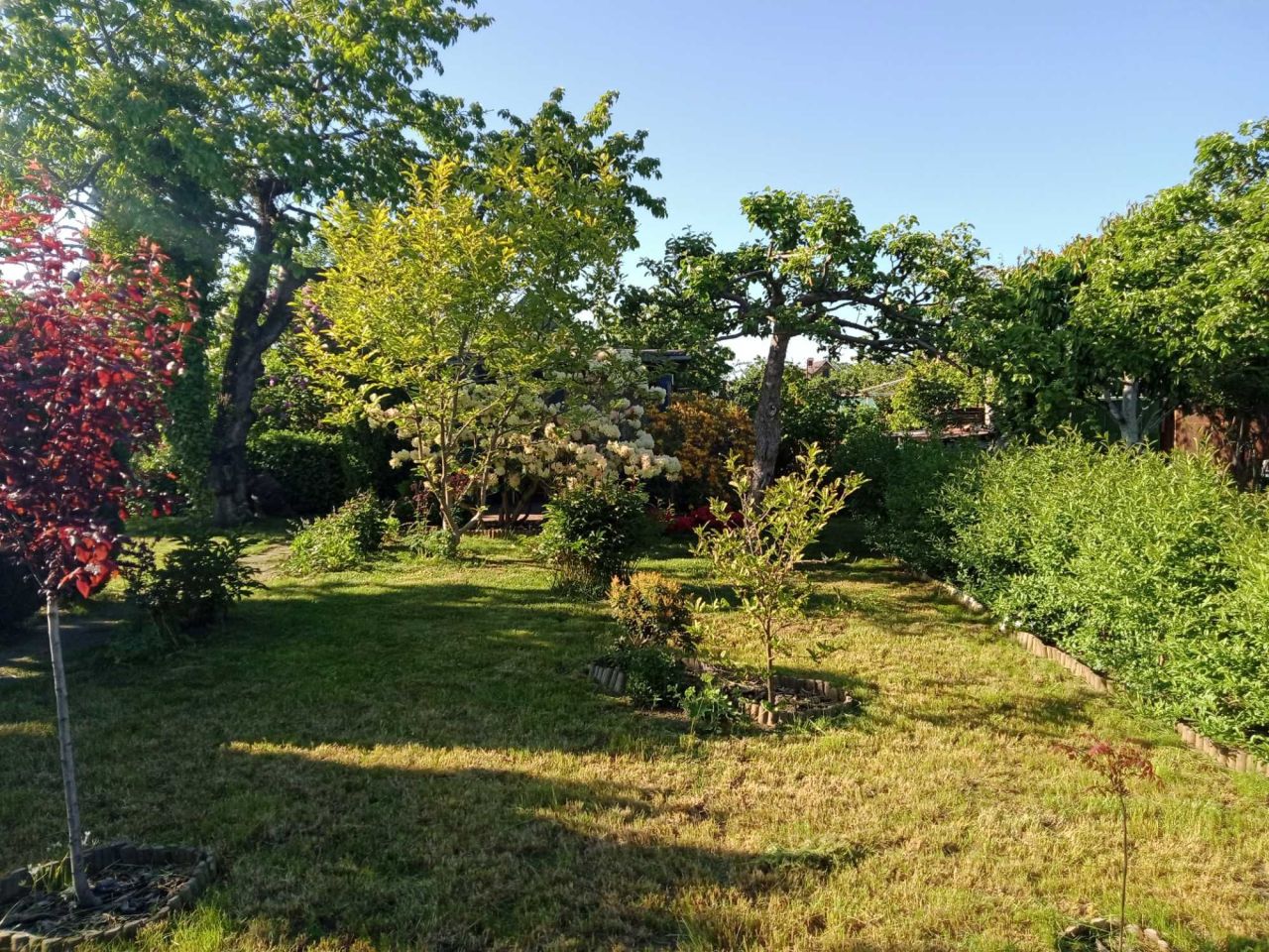 Działka rod Gdynia Oksywie, ul. Stanisława Żółkiewskiego. Zdjęcie 8