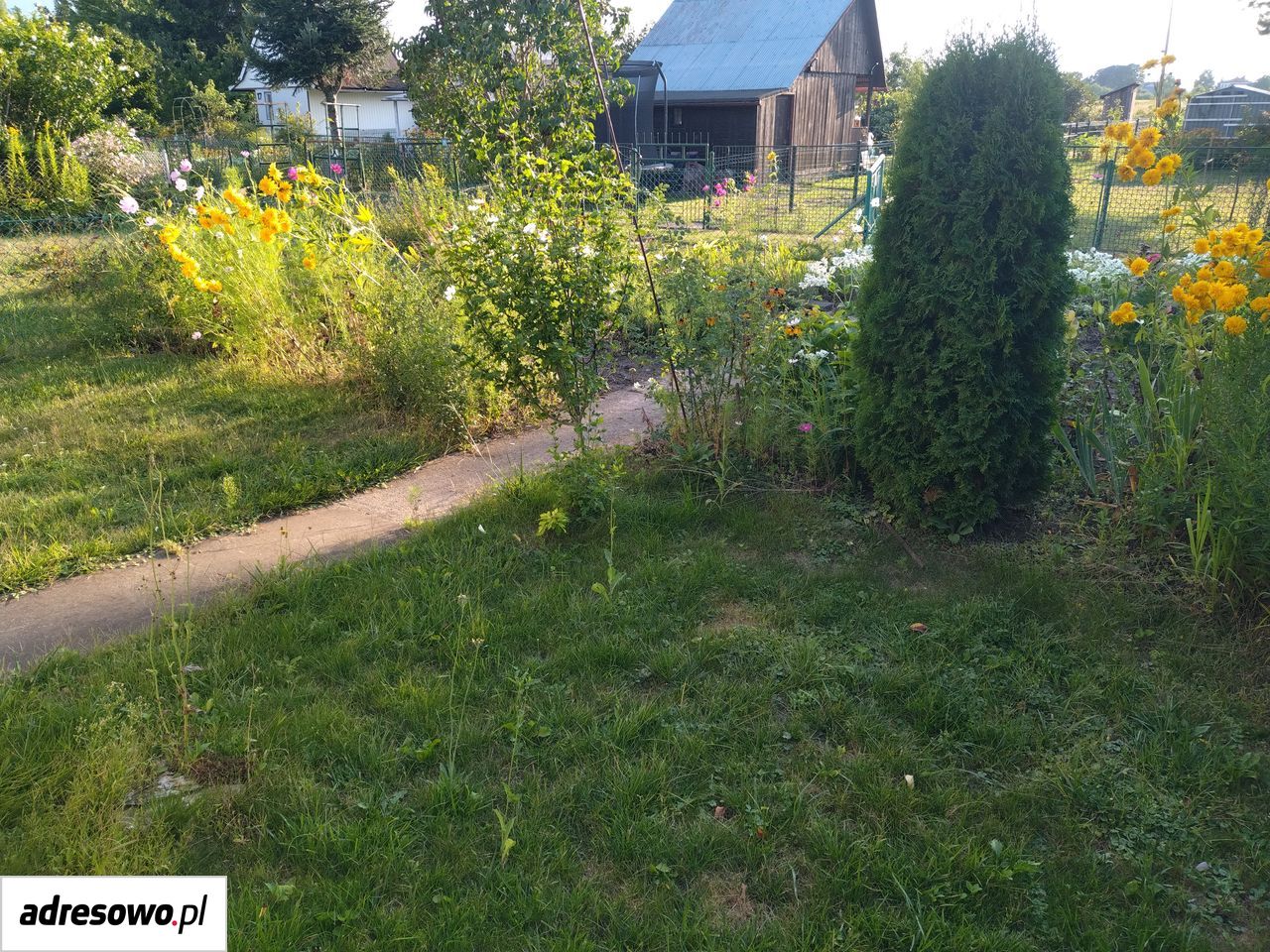Działka rod Kraków Ruszcza. Zdjęcie 7
