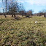 Działka budowlana Tarnobrzeg Nadole, ul. Wałowa. Zdjęcie 2