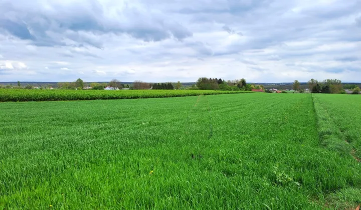 Działka rolno-budowlana Lublin Zemborzyce Górne, ul. Ku Słońcu