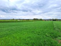 Działka rolno-budowlana Lublin Zemborzyce Górne, ul. Ku Słońcu