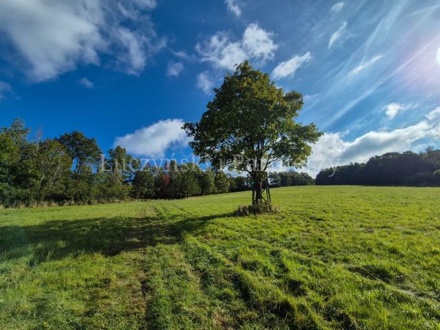 Działka rolna Wojcieszów. Zdjęcie 7